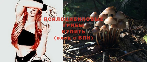 прущий лед Осинники