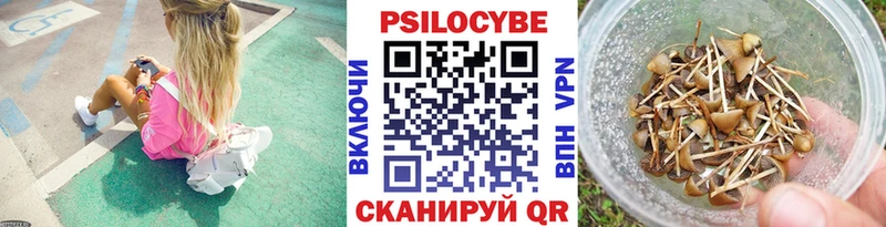 Псилоцибиновые грибы мицелий  ссылка на мегу ссылка  Яблоновский 
